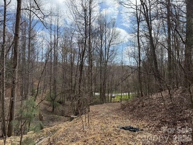 Lot at 158 Chattooga Run, Hendersonville, photo 7 of 9