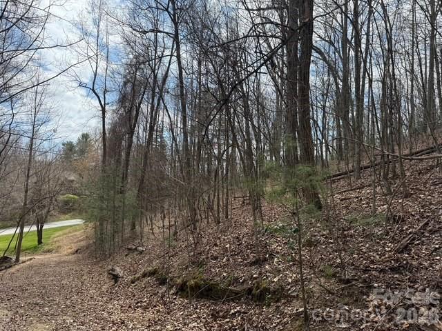 Lot at 158 Chattooga Run, Hendersonville, photo 8 of 9
