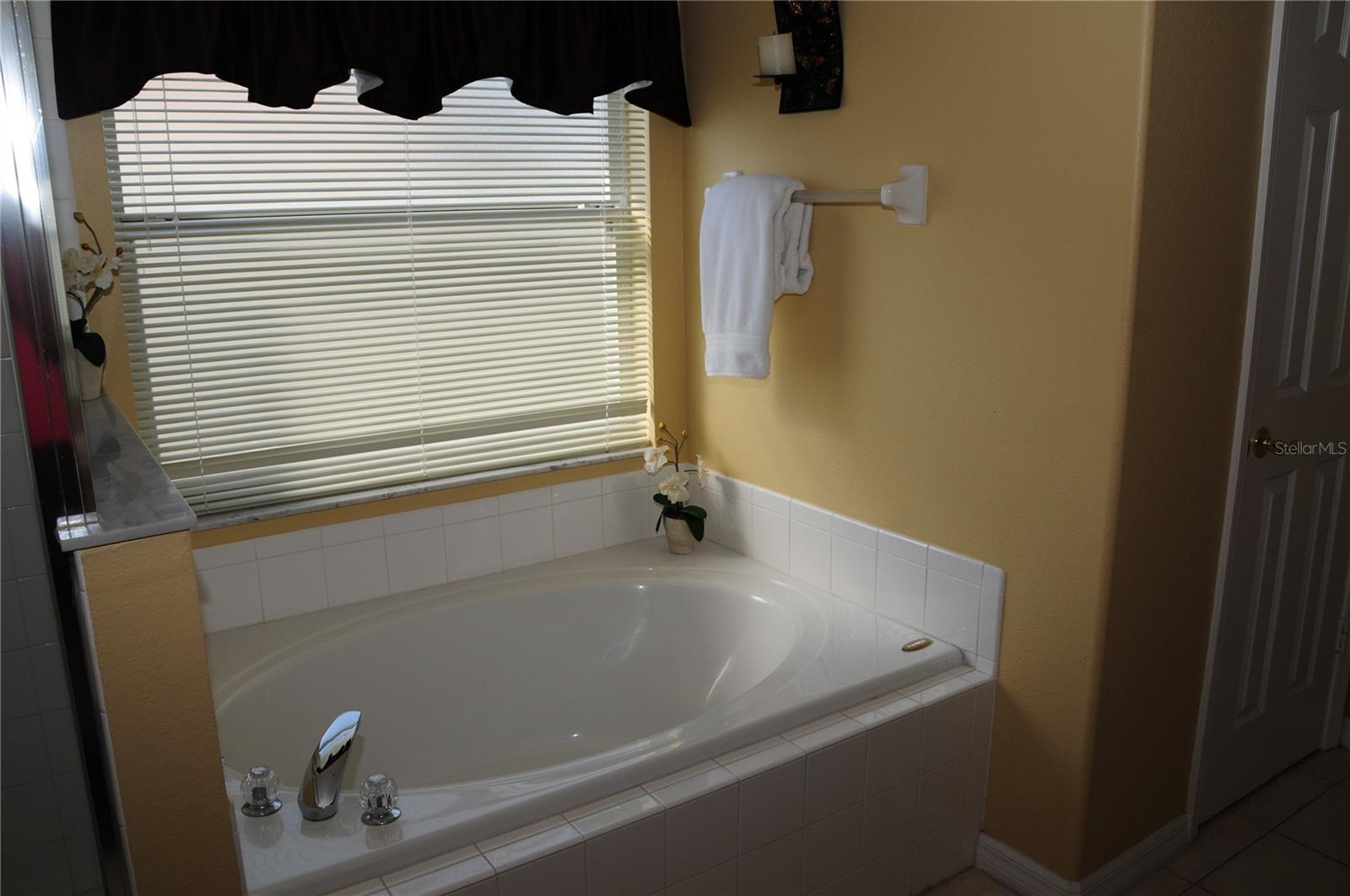 Single Family Residence at 8015 INDIAN CREEK BLVD, KISSIMMEE, photo 29 of 56