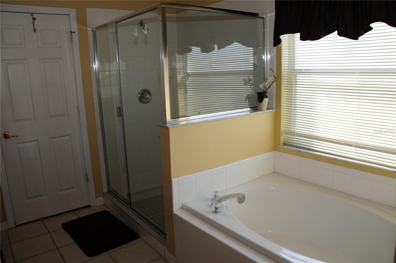 Single Family Residence at 8015 INDIAN CREEK BLVD, KISSIMMEE, photo 30 of 56