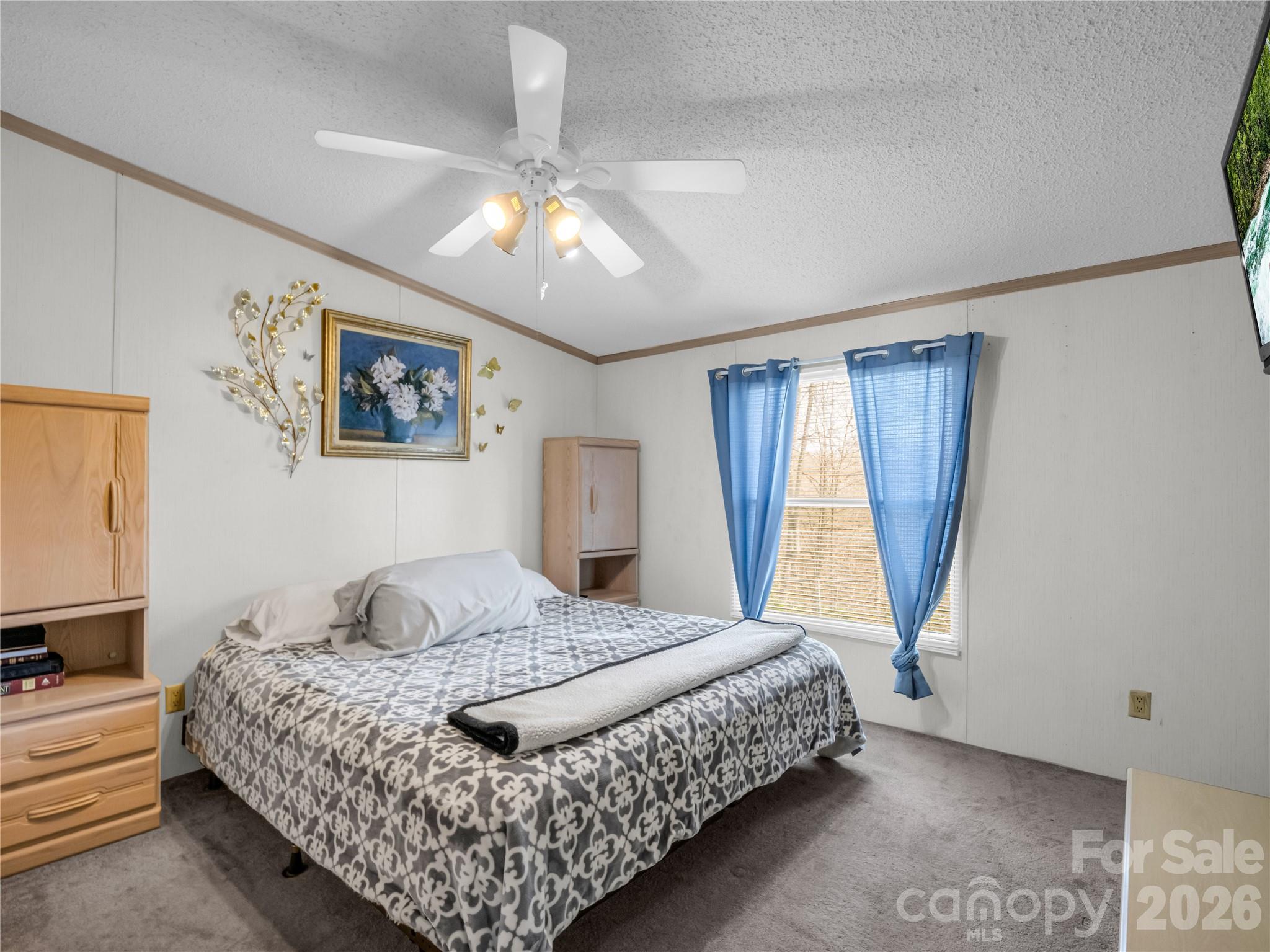 Single Family Residence at 48 Laurel Cove Road, Leicester, photo 22 of 43