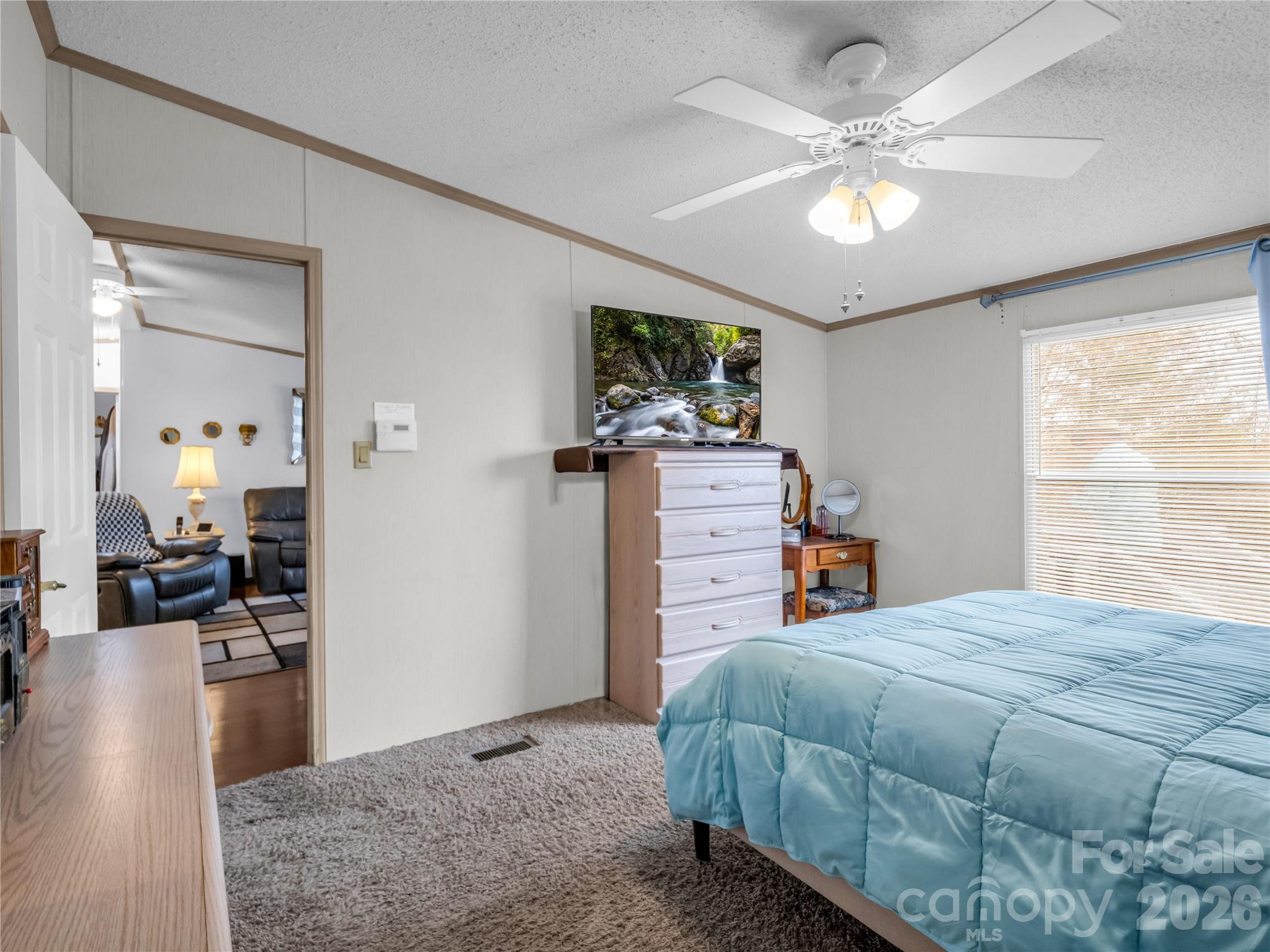 Single Family Residence at 48 Laurel Cove Road, Leicester, photo 26 of 43