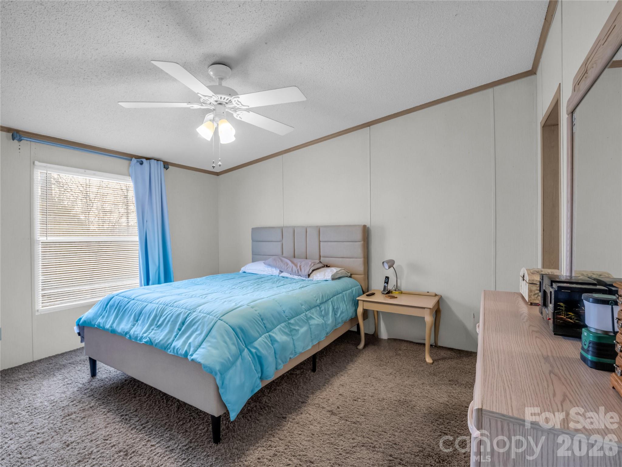Single Family Residence at 48 Laurel Cove Road, Leicester, photo 27 of 43