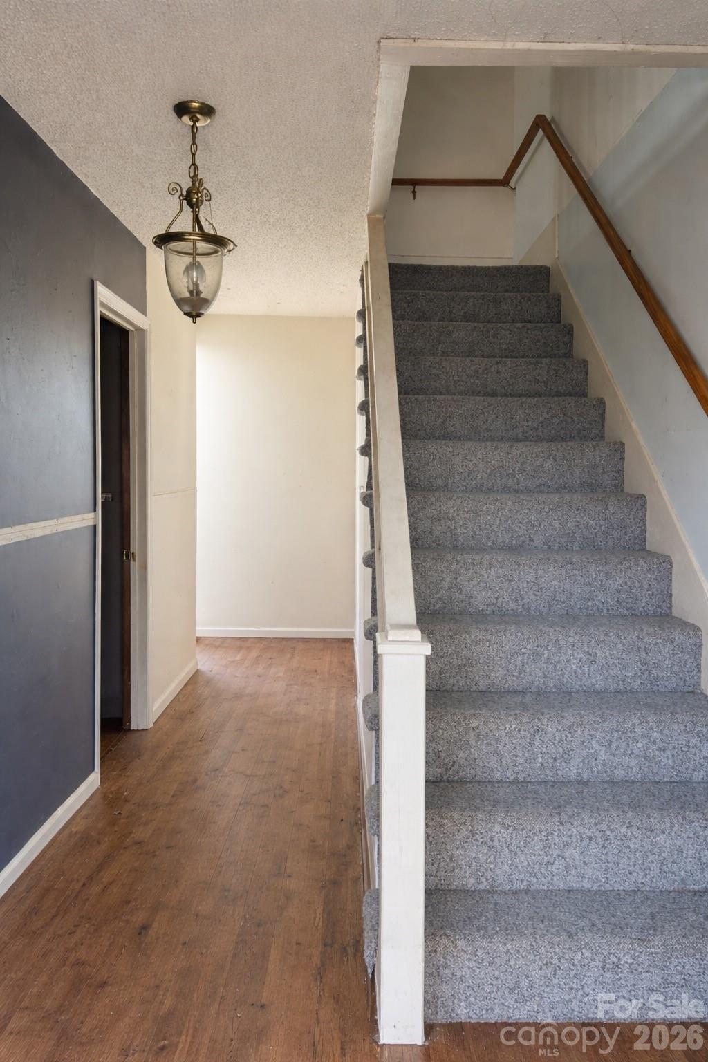 *VIRTUAL STAGING* - 16 Mallory Lane, Arden
