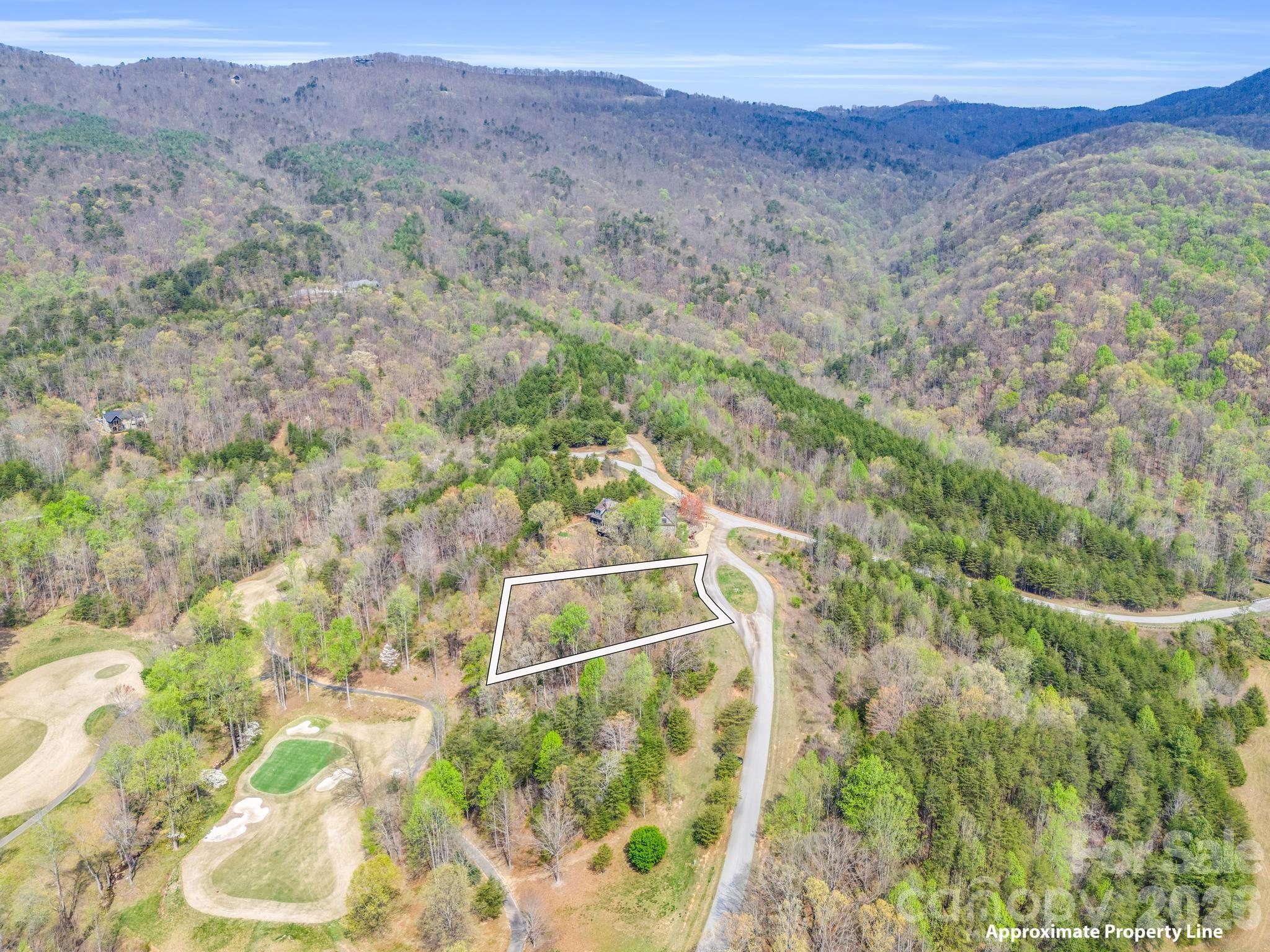 Lot at 0 Chestertown Drive, Mill Spring, photo 2 of 35