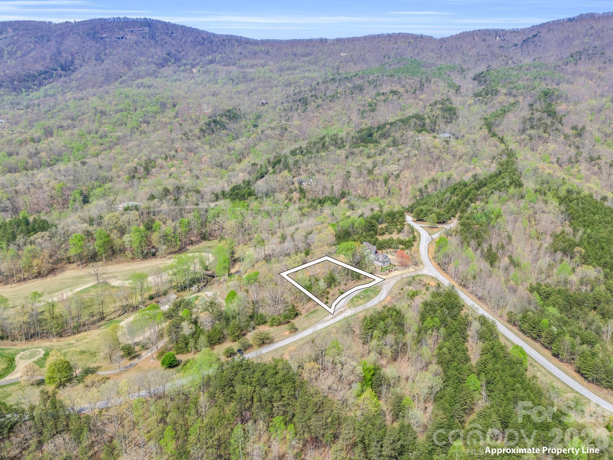 Lot at 0 Chestertown Drive, Mill Spring, photo 3 of 35