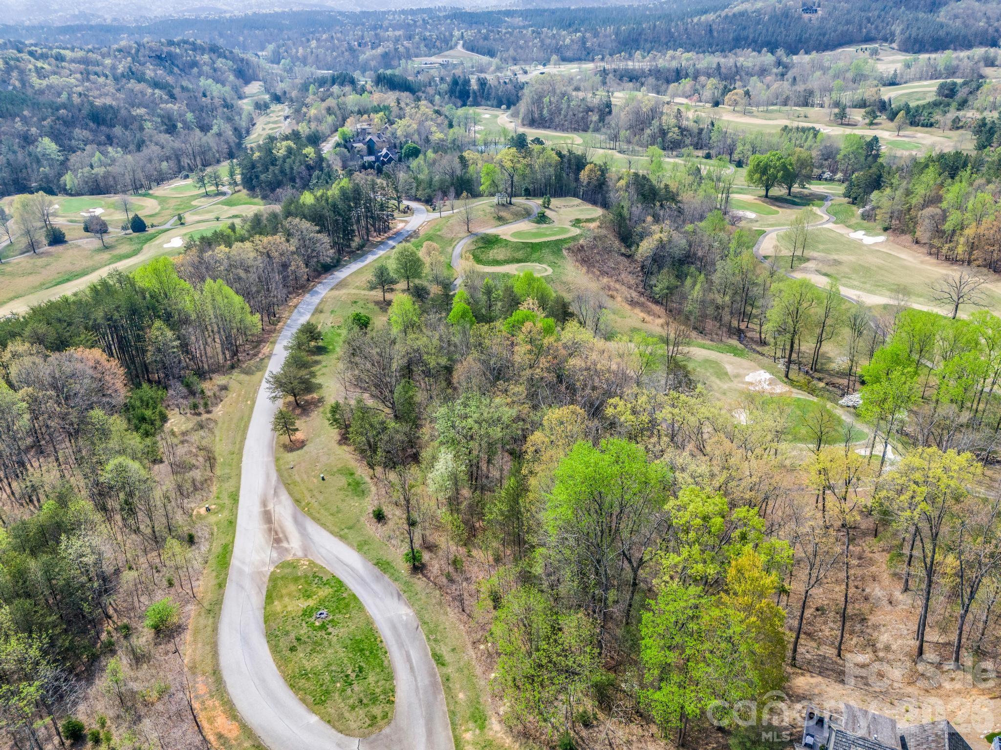 Lot at 0 Chestertown Drive, Mill Spring, photo 4 of 35