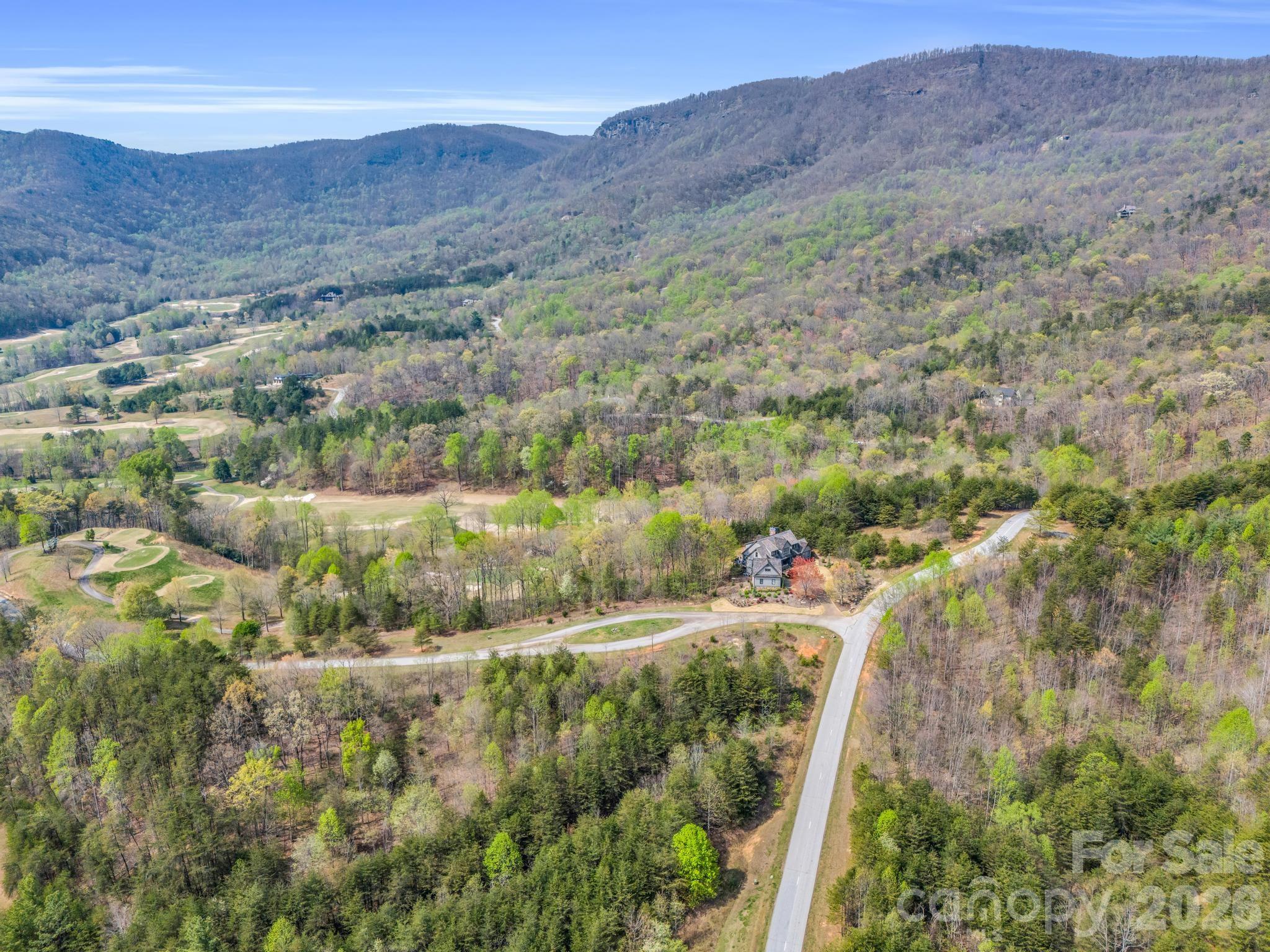 Lot at 0 Chestertown Drive, Mill Spring, photo 5 of 35