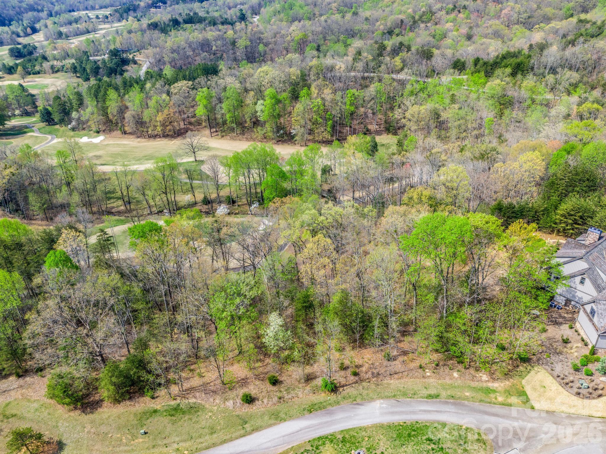 Lot at 0 Chestertown Drive, Mill Spring, photo 6 of 35