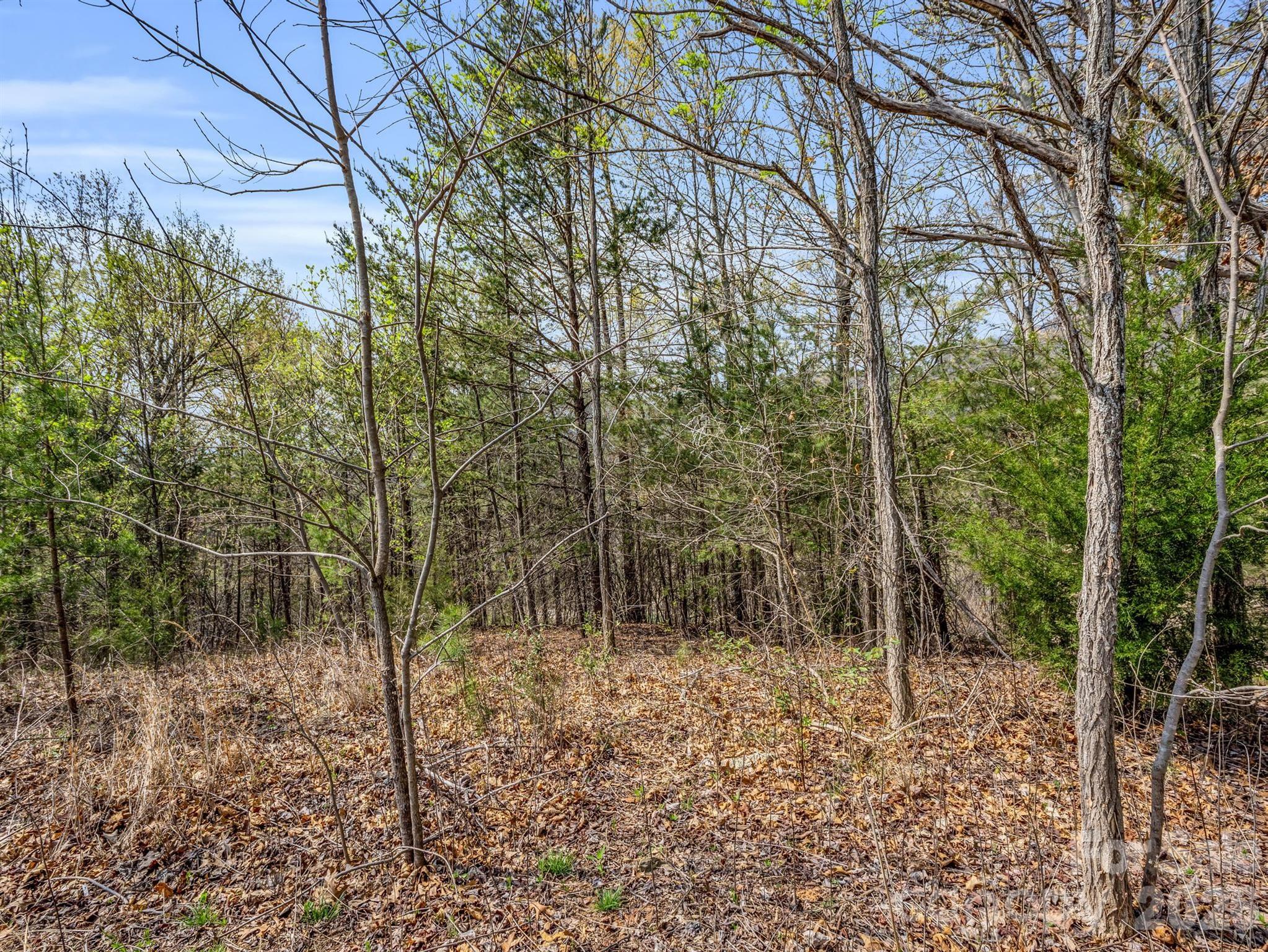 Lot at 0 Chestertown Drive, Mill Spring, photo 7 of 35