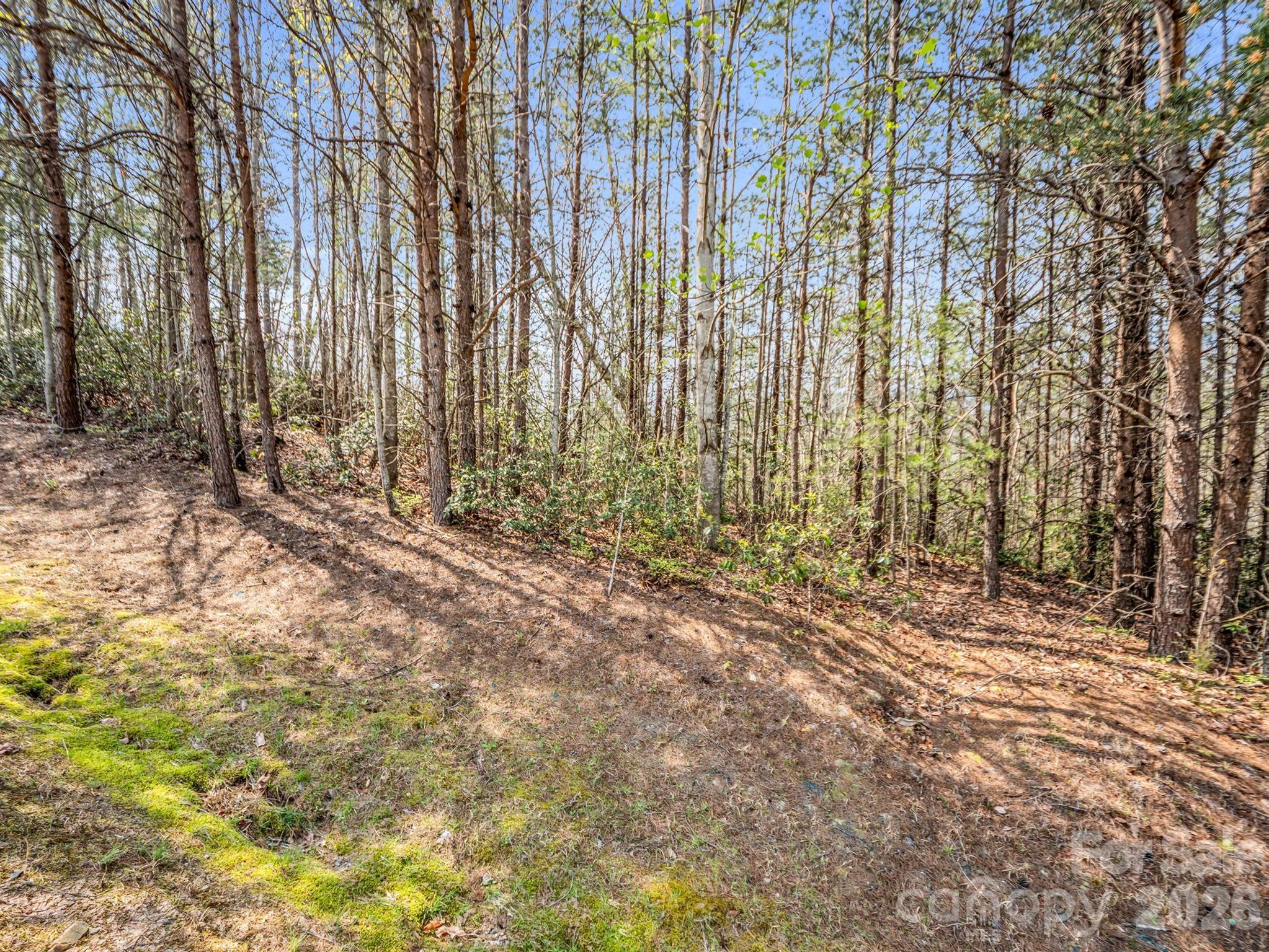 Lot at 0 Chestertown Drive, Mill Spring, photo 8 of 35