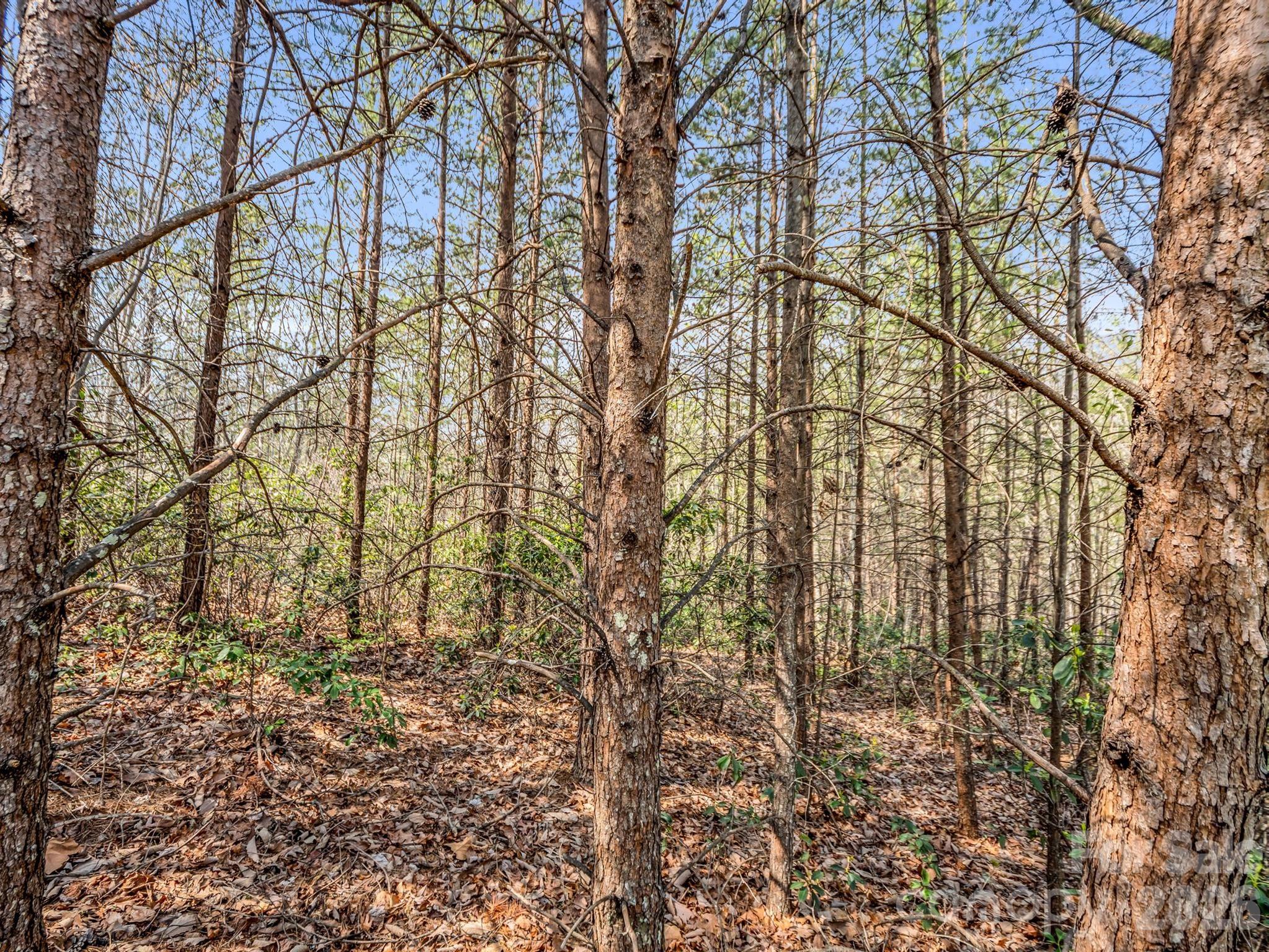 Lot at 0 Chestertown Drive, Mill Spring, photo 9 of 35