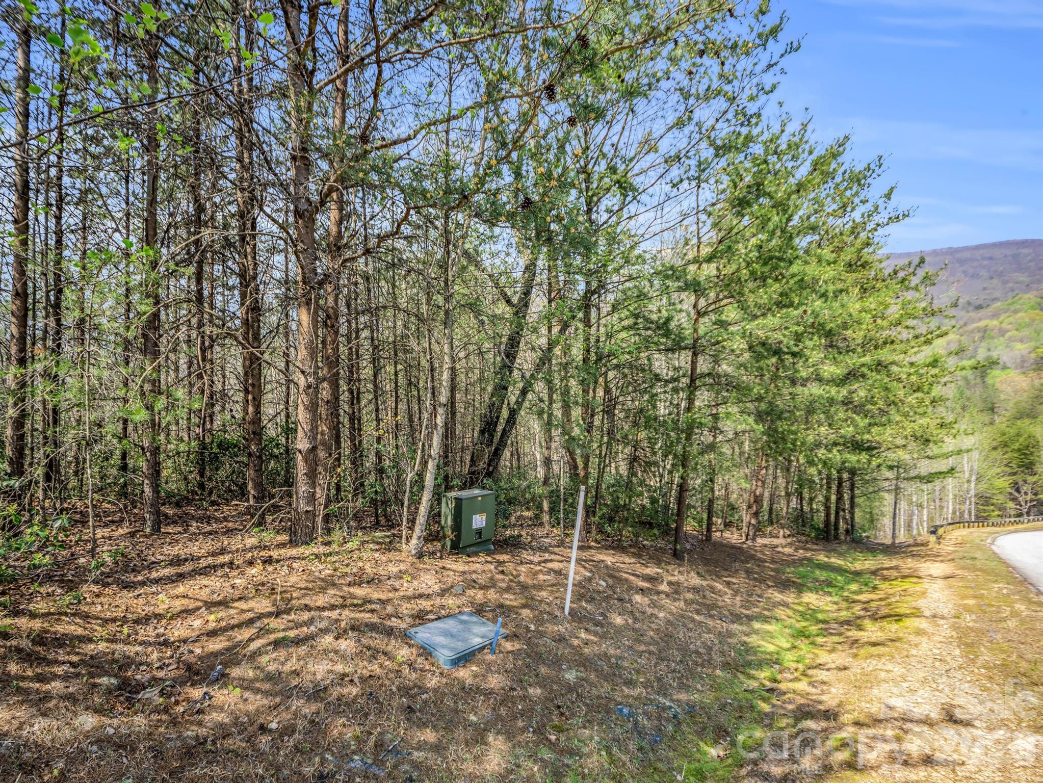 Lot at 0 Chestertown Drive, Mill Spring, photo 10 of 35