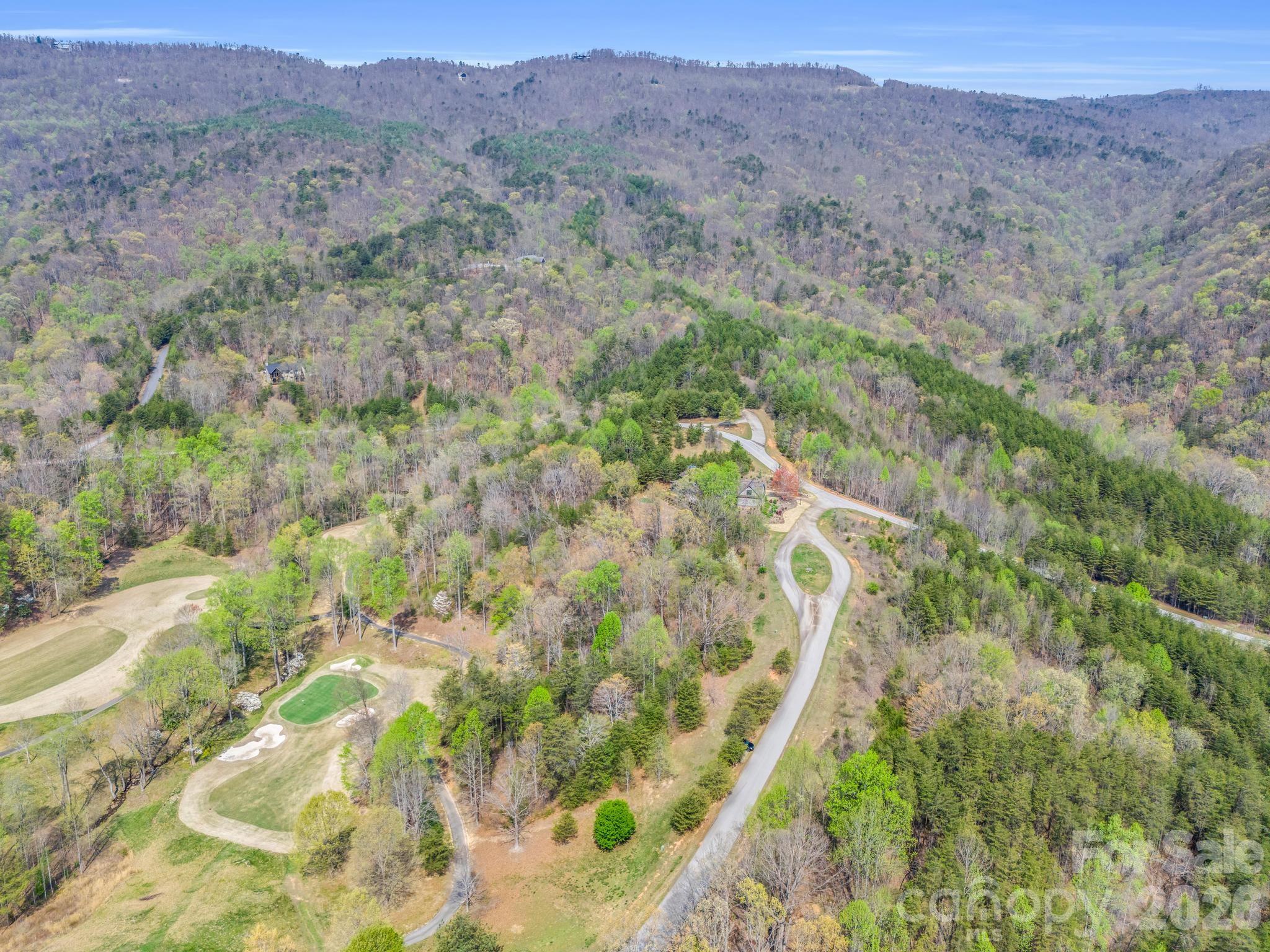 Lot at 0 Chestertown Drive, Mill Spring, photo 17 of 35