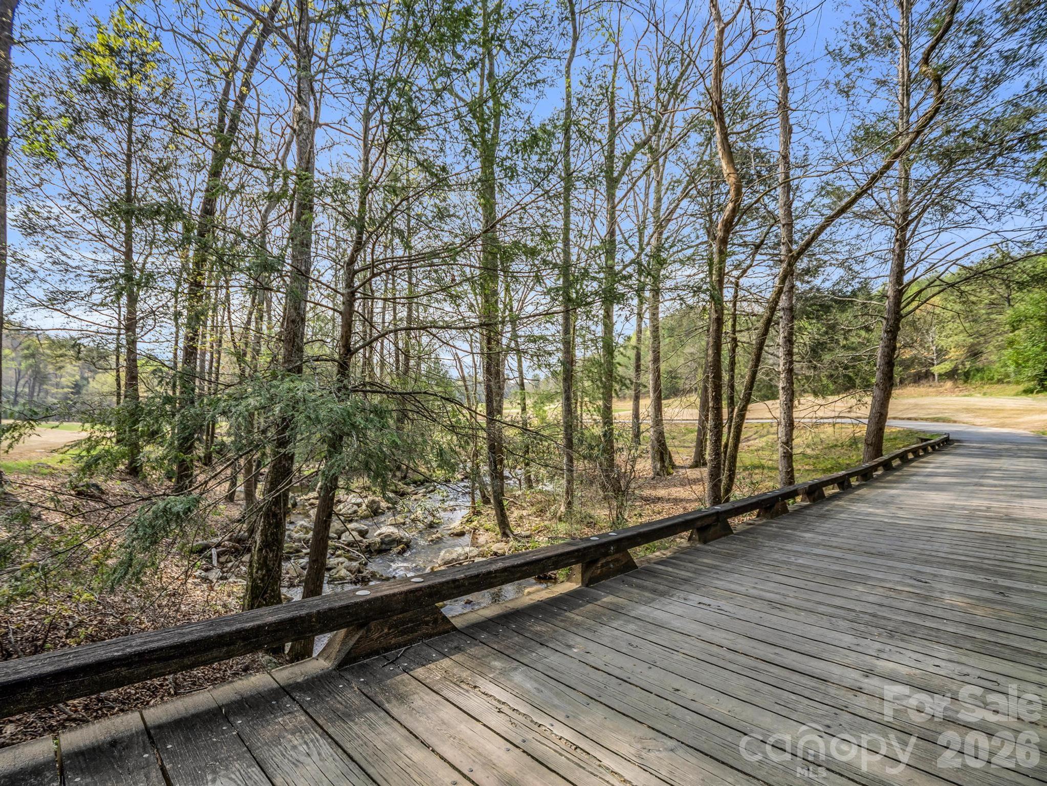 Lot at 0 Chestertown Drive, Mill Spring, photo 30 of 35
