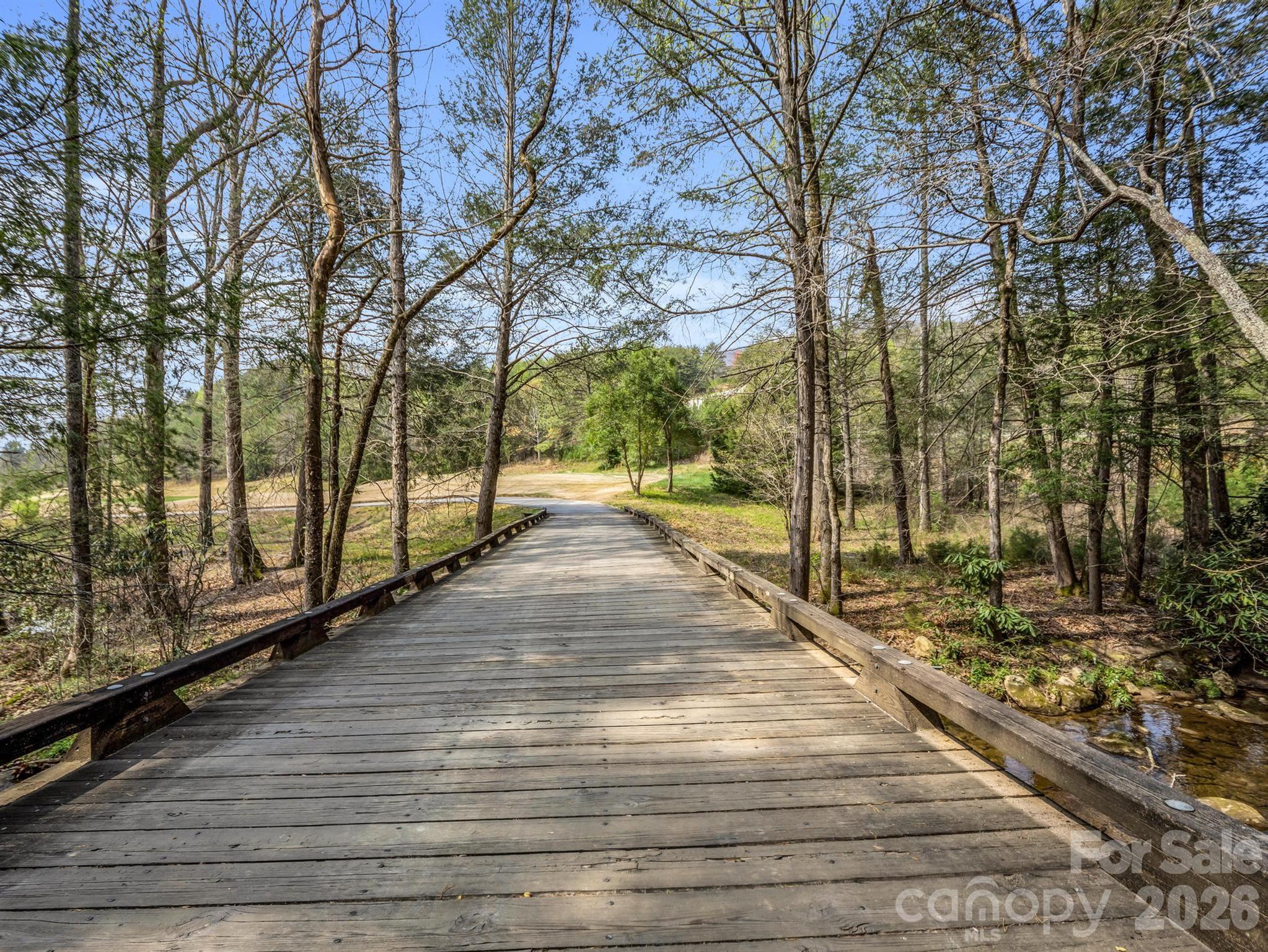 Lot at 0 Chestertown Drive, Mill Spring, photo 31 of 35