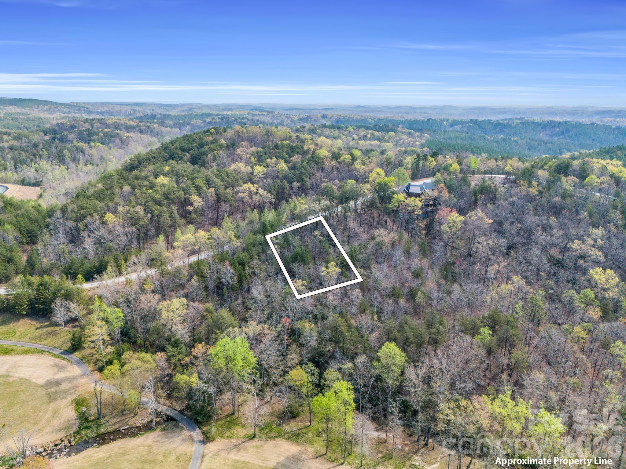 Lot at 0 Deep Gap Farm Road E, Mill Spring, photo 6 of 39