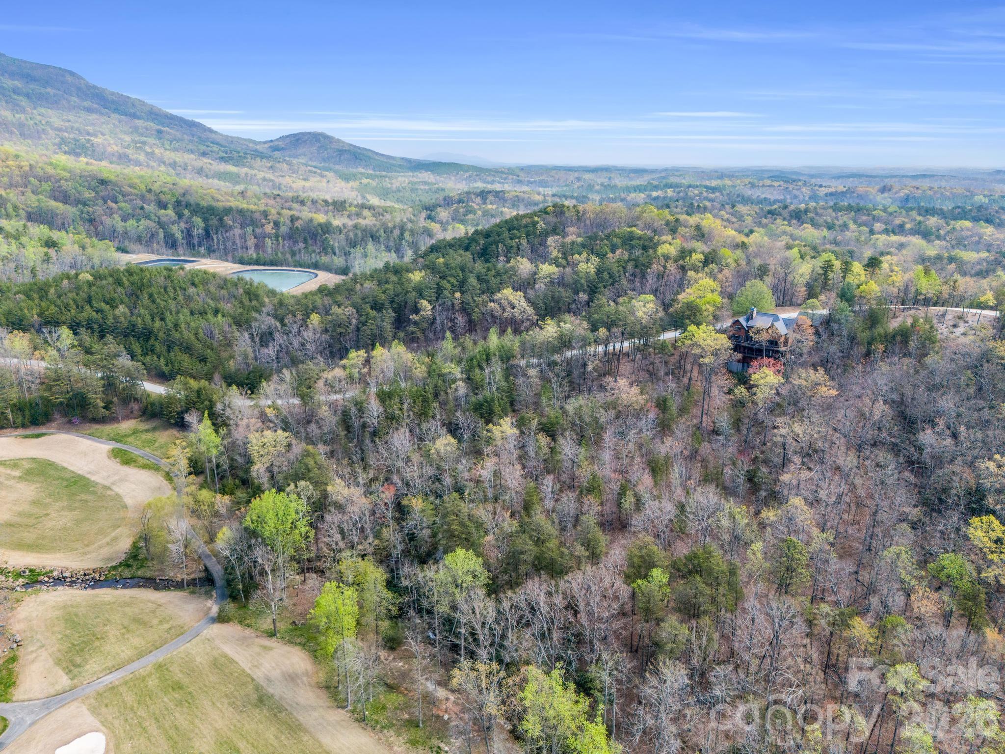 Lot at 0 Deep Gap Farm Road E, Mill Spring, photo 8 of 39