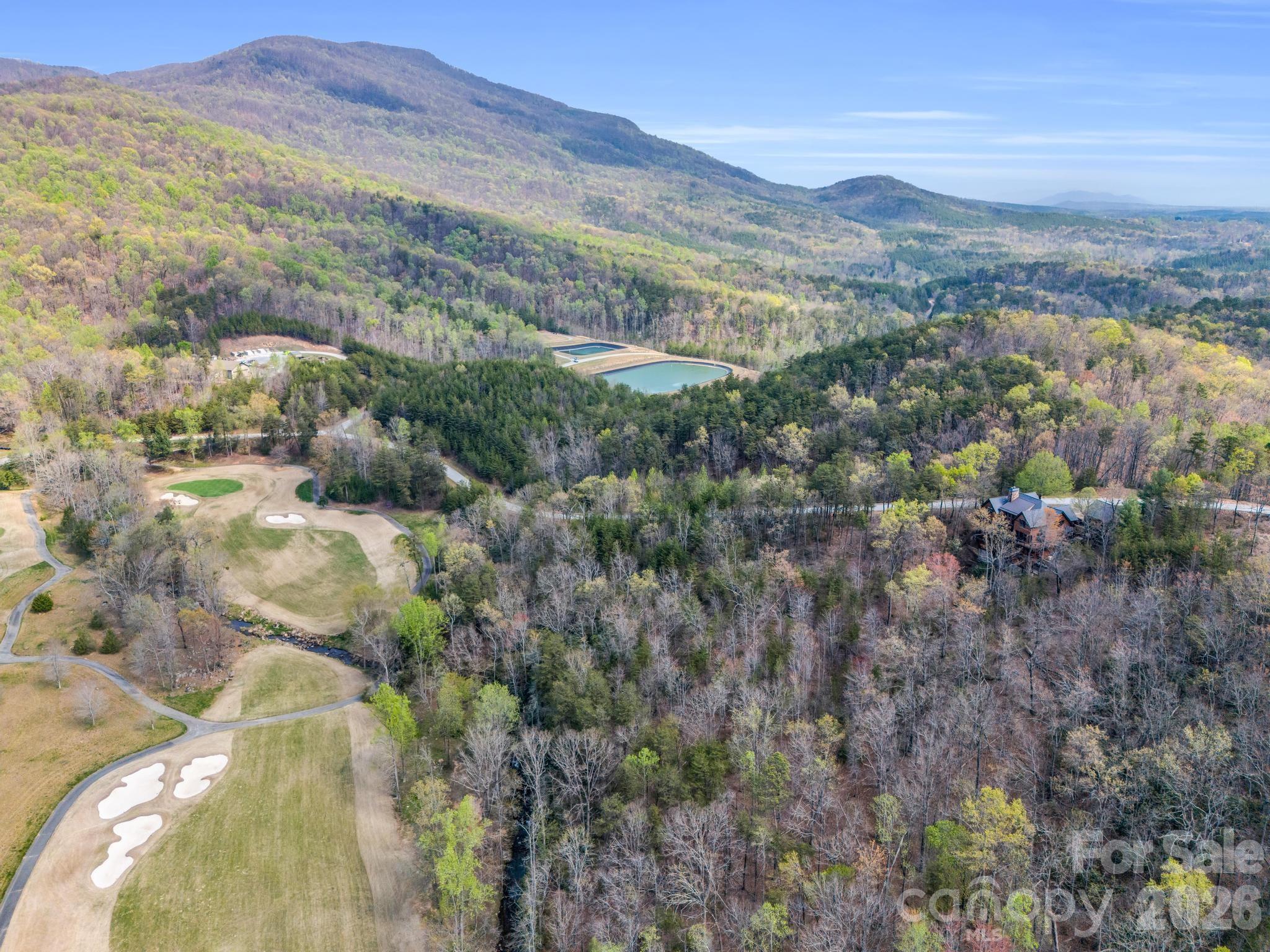 Lot at 0 Deep Gap Farm Road E, Mill Spring, photo 9 of 39