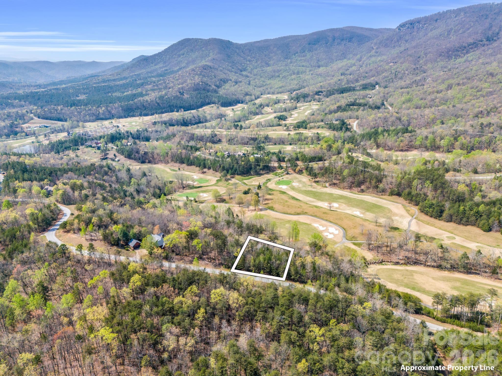 Lot at 0 Deep Gap Farm Road E, Mill Spring, photo 11 of 39
