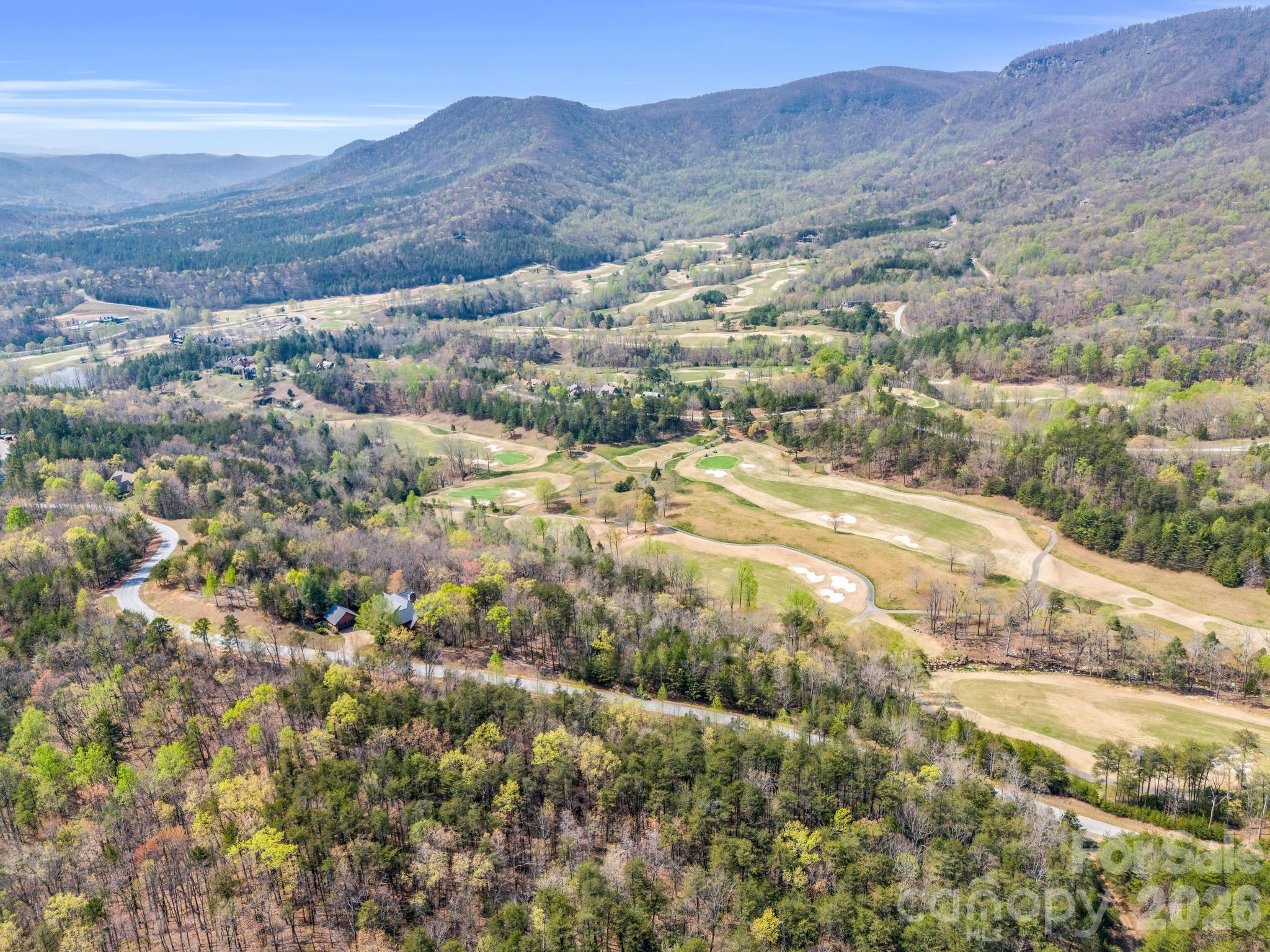Lot at 0 Deep Gap Farm Road E, Mill Spring, photo 12 of 39