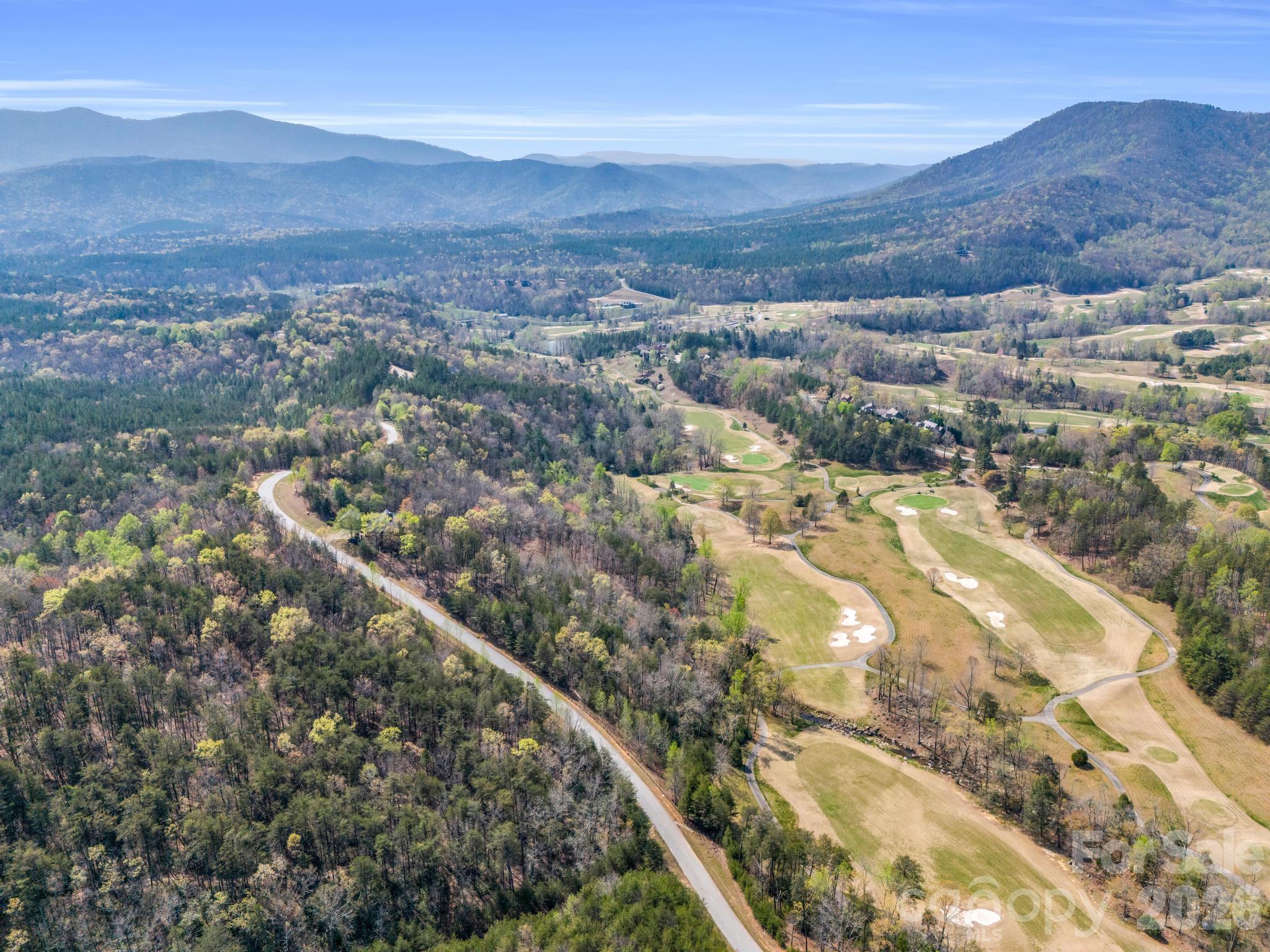 Lot at 0 Deep Gap Farm Road E, Mill Spring, photo 14 of 39