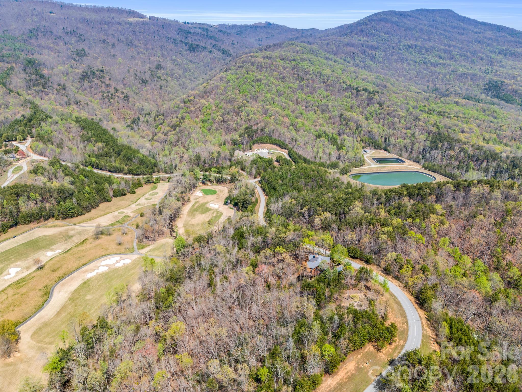 Lot at 0 Deep Gap Farm Road E, Mill Spring, photo 20 of 39