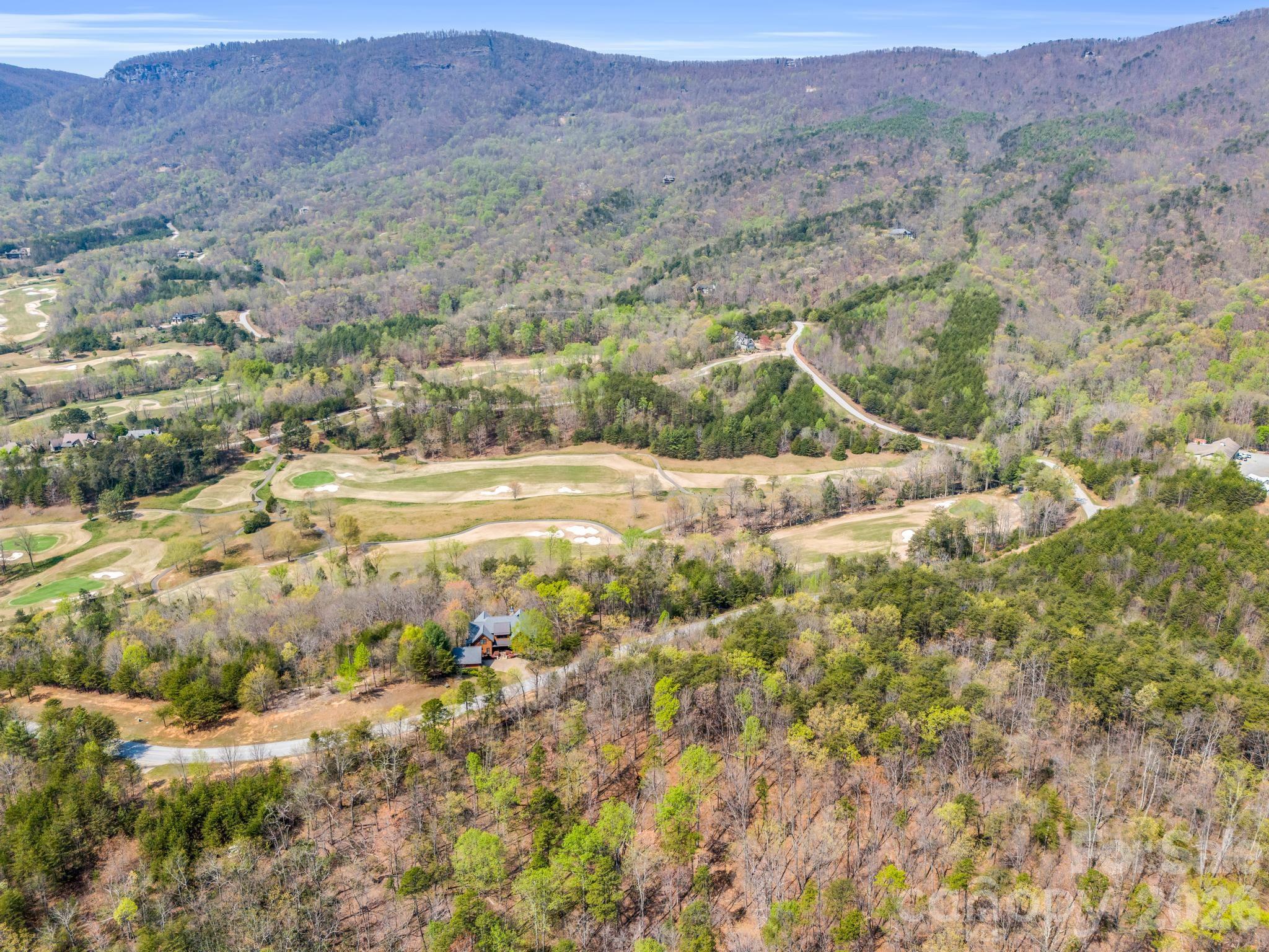 Lot at 0 Deep Gap Farm Road E, Mill Spring, photo 22 of 39