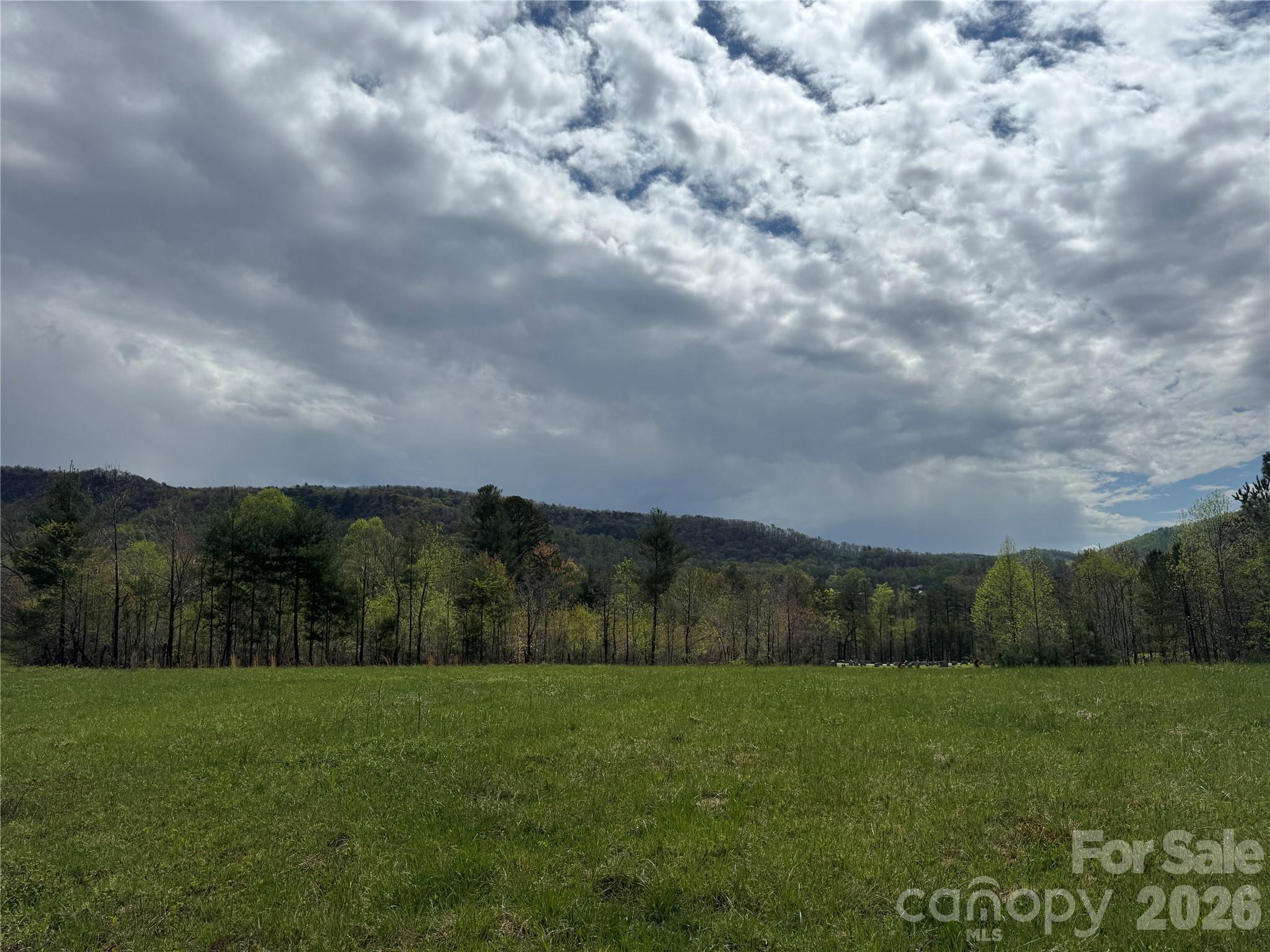 Lot at 99999 Huntsville Road, Marion, photo 5 of 13