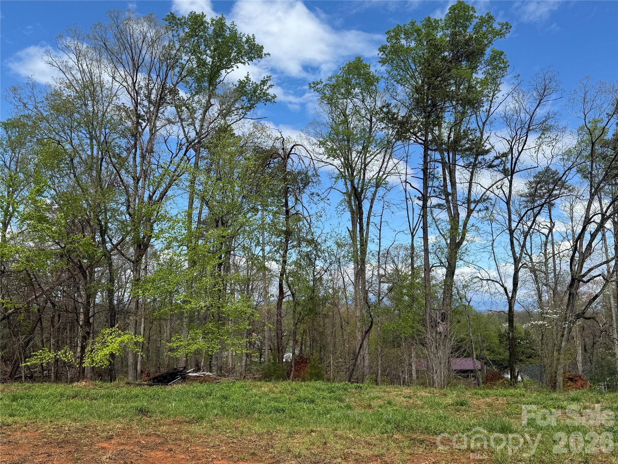 Lot at 99999 Huntsville Road, Marion, photo 7 of 13
