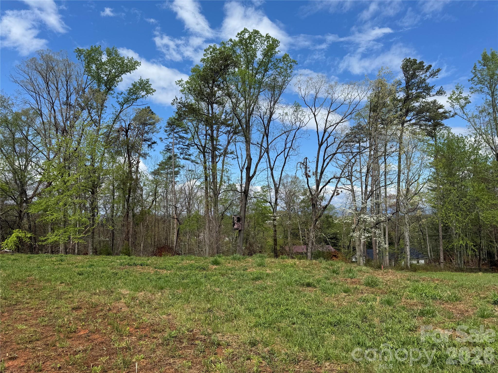 Lot at 99999 Huntsville Road, Marion, photo 10 of 13
