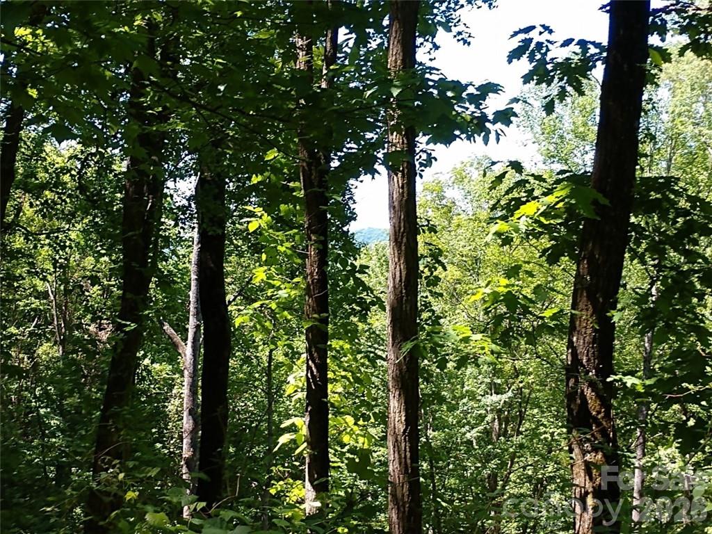 Lot at 00 Hudson Valley Drive, Waynesville, photo 3 of 17