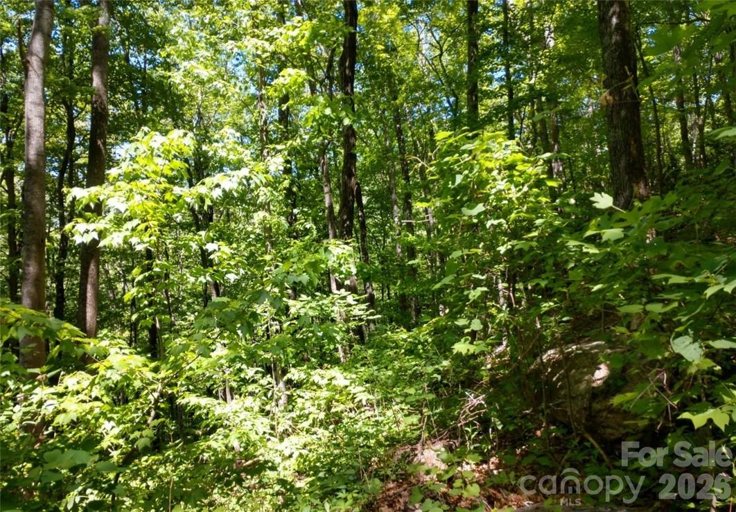 Lot at 00 Hudson Valley Drive, Waynesville, photo 5 of 17
