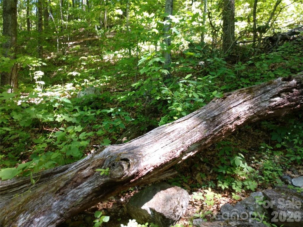 Lot at 00 Hudson Valley Drive, Waynesville, photo 6 of 17