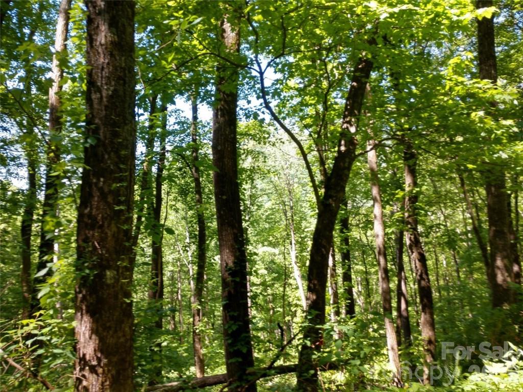 Lot at 00 Hudson Valley Drive, Waynesville, photo 7 of 17