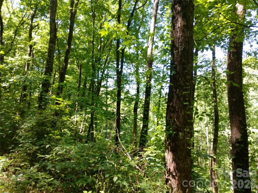 Lot at 00 Hudson Valley Drive, Waynesville, photo 8 of 17