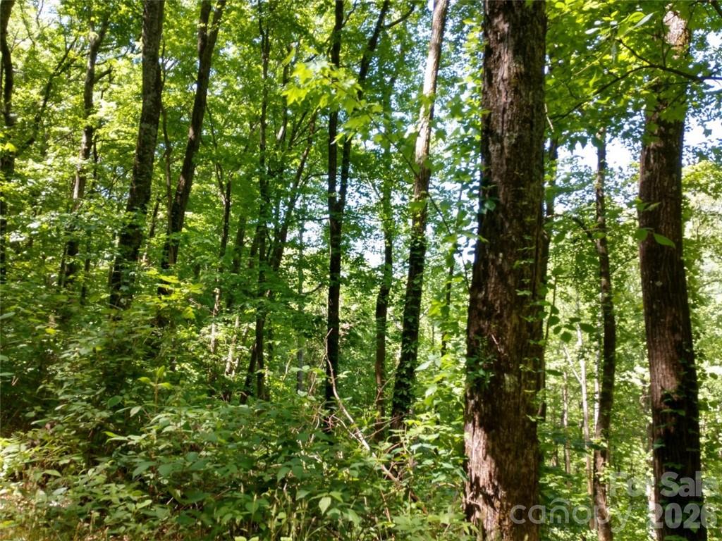 Lot at 00 Hudson Valley Drive, Waynesville, photo 9 of 17