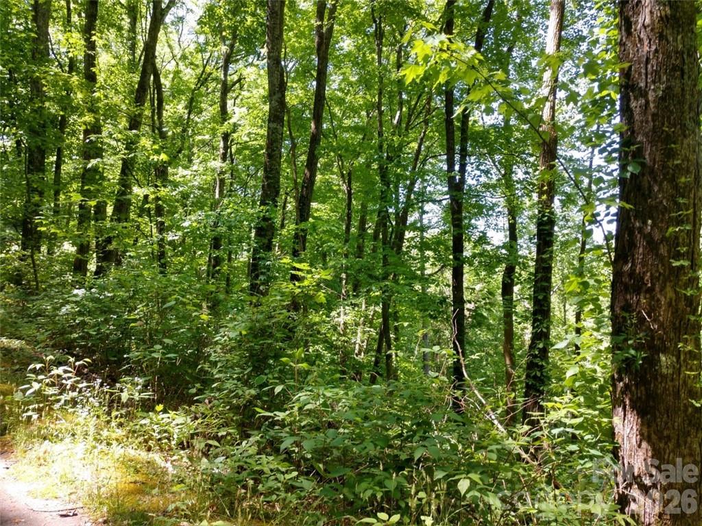 Lot at 00 Hudson Valley Drive, Waynesville, photo 10 of 17