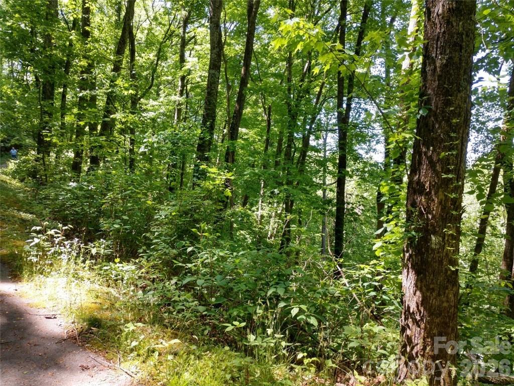 Lot at 00 Hudson Valley Drive, Waynesville, photo 11 of 17