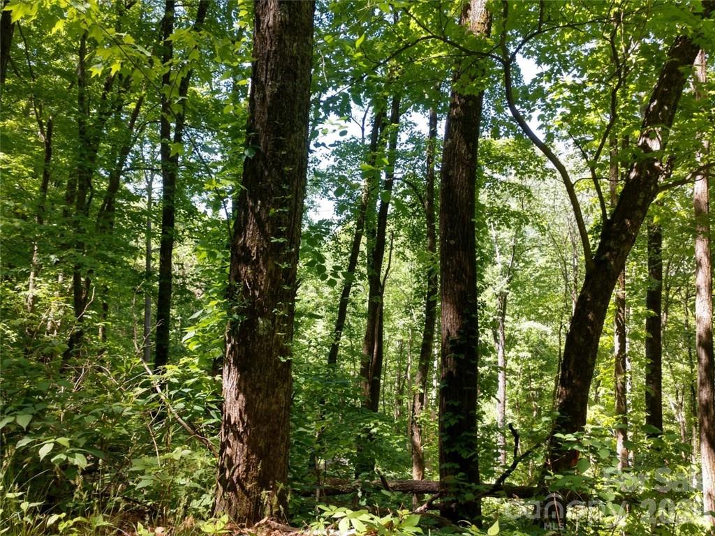 Lot at 00 Hudson Valley Drive, Waynesville, photo 12 of 17