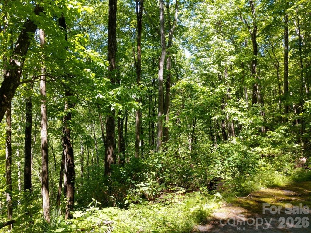 Lot at 00 Hudson Valley Drive, Waynesville, photo 14 of 17
