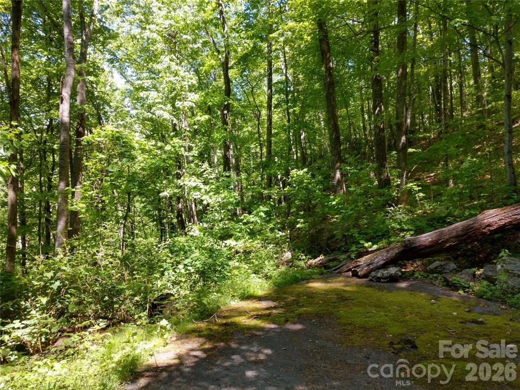 Lot at 00 Hudson Valley Drive, Waynesville, photo 15 of 17