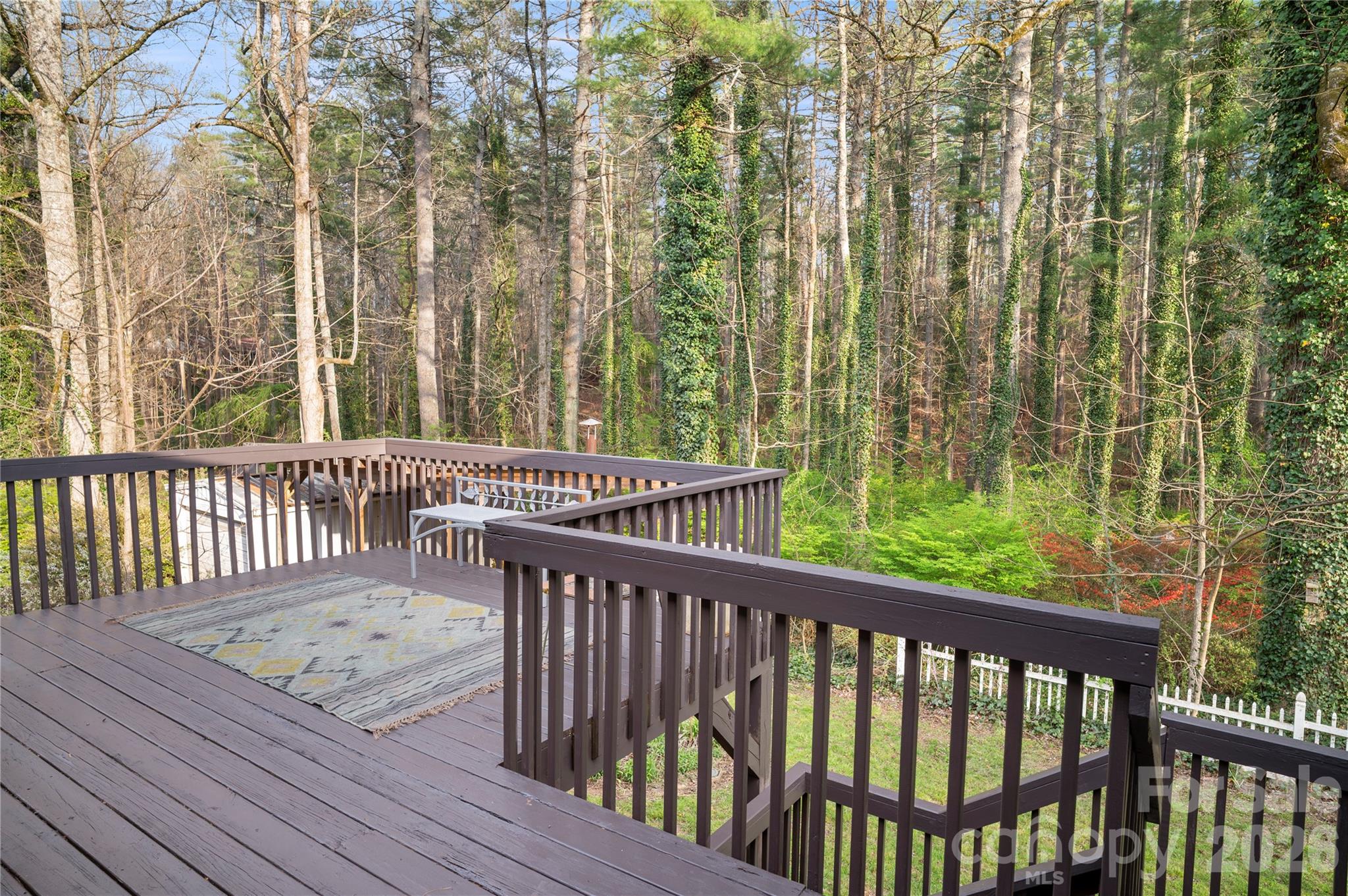 Single Family Residence at 3002 Kanuga Road, Hendersonville, photo 38 of 48