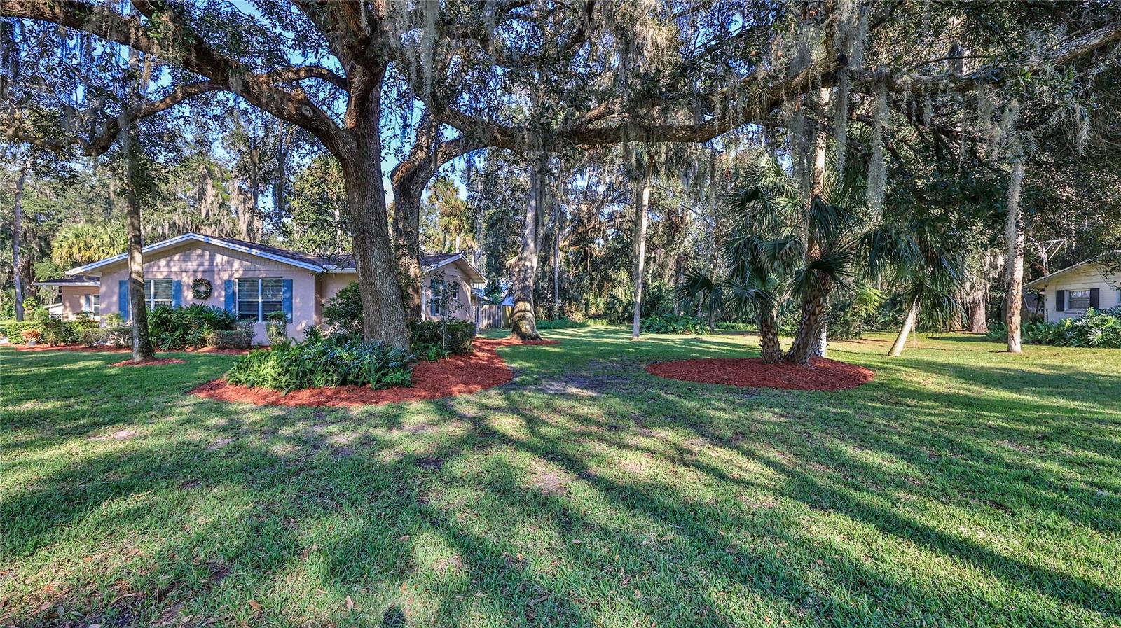 Huge Side Yard - 515 OLIVER DR, NEW SMYRNA BEACH
