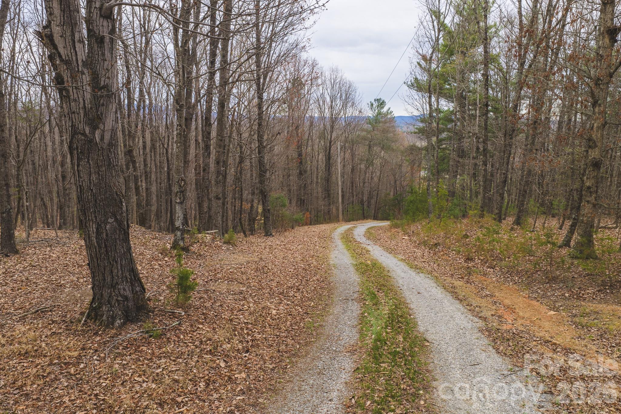 Acreage at Tract 4 All Healing Springs Road, Taylorsville, photo 2 of 20