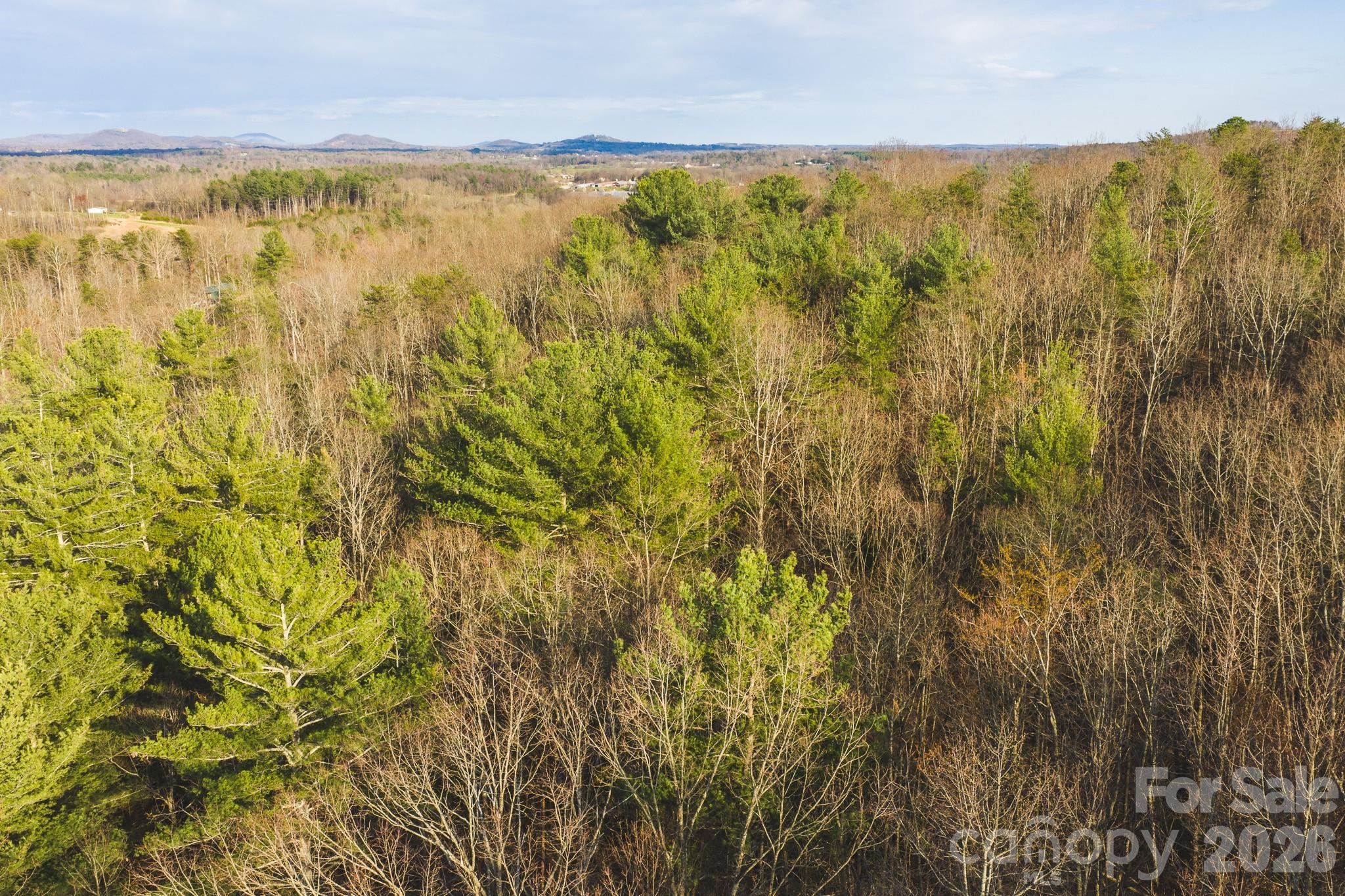 Acreage at Tract 4 All Healing Springs Road, Taylorsville, photo 6 of 20