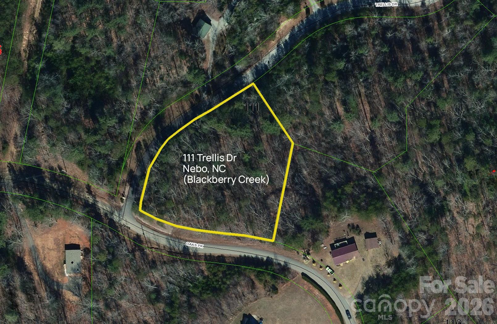 Lot at Lot 111 Trellis Drive, Nebo, photo 2 of 12