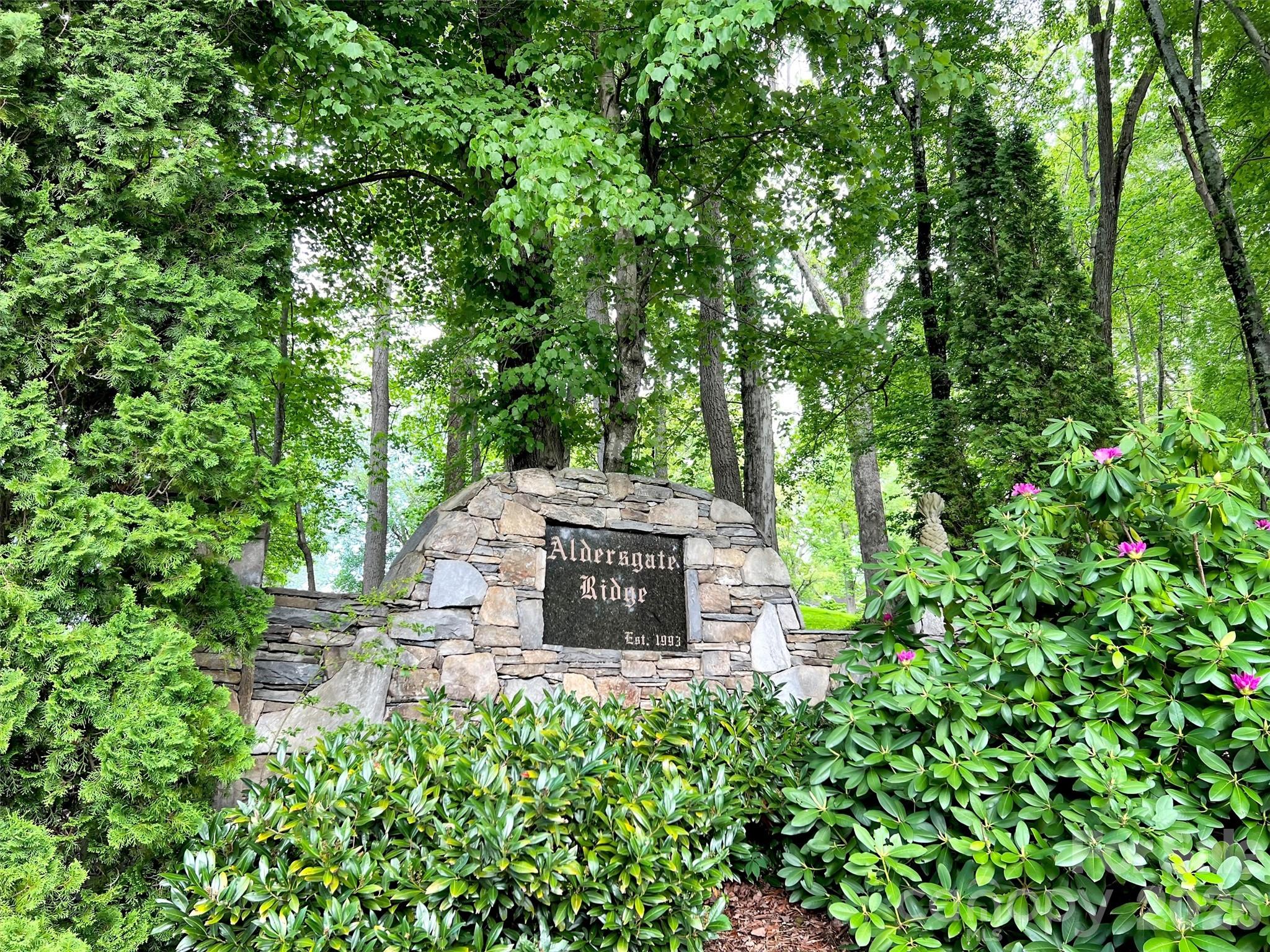Lot at 186 Aldersgate Road, Waynesville, photo 13 of 14