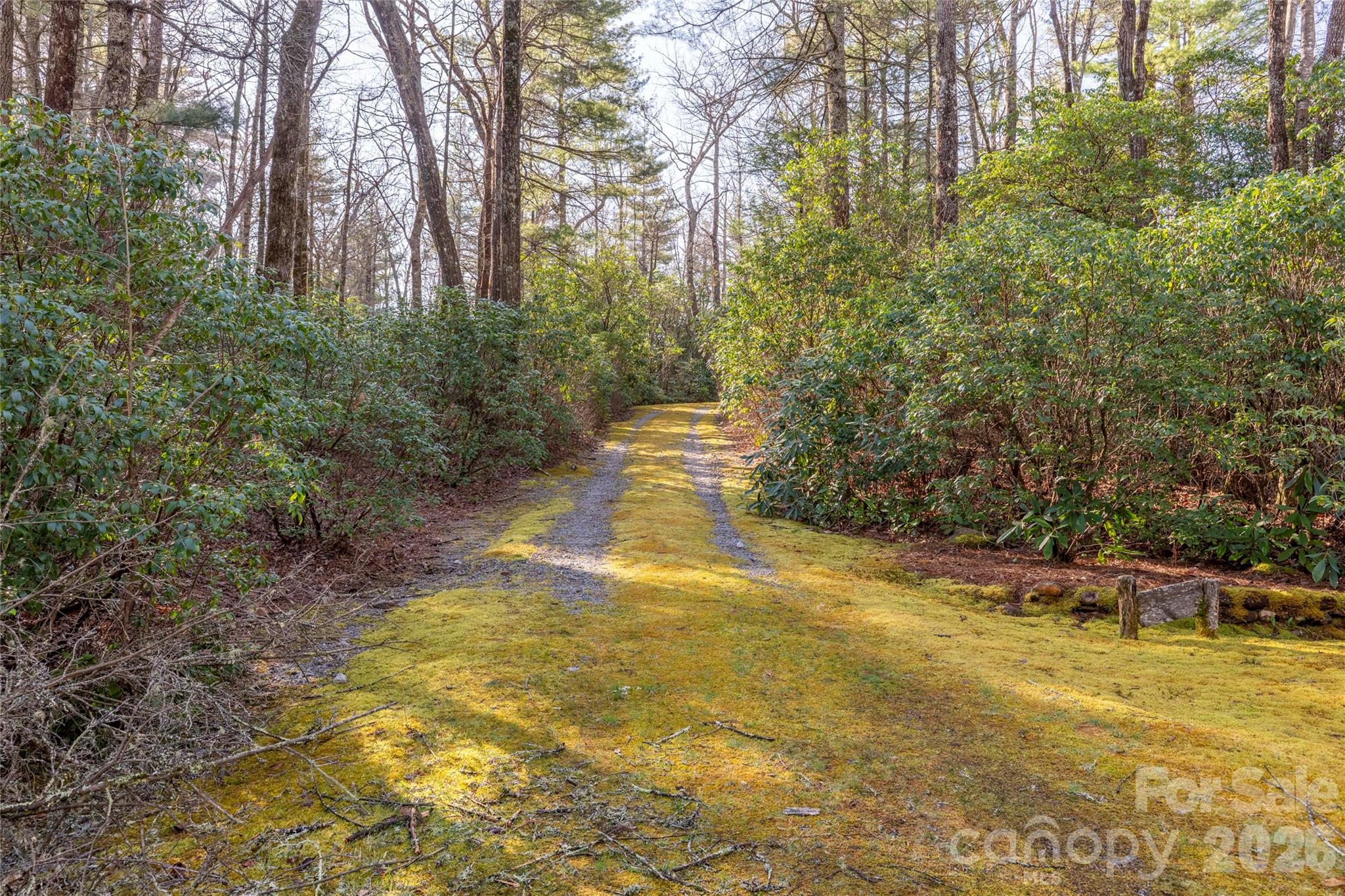 Lot at TRP 1 Cardinal Drive W, Lake Toxaway, photo 3 of 13