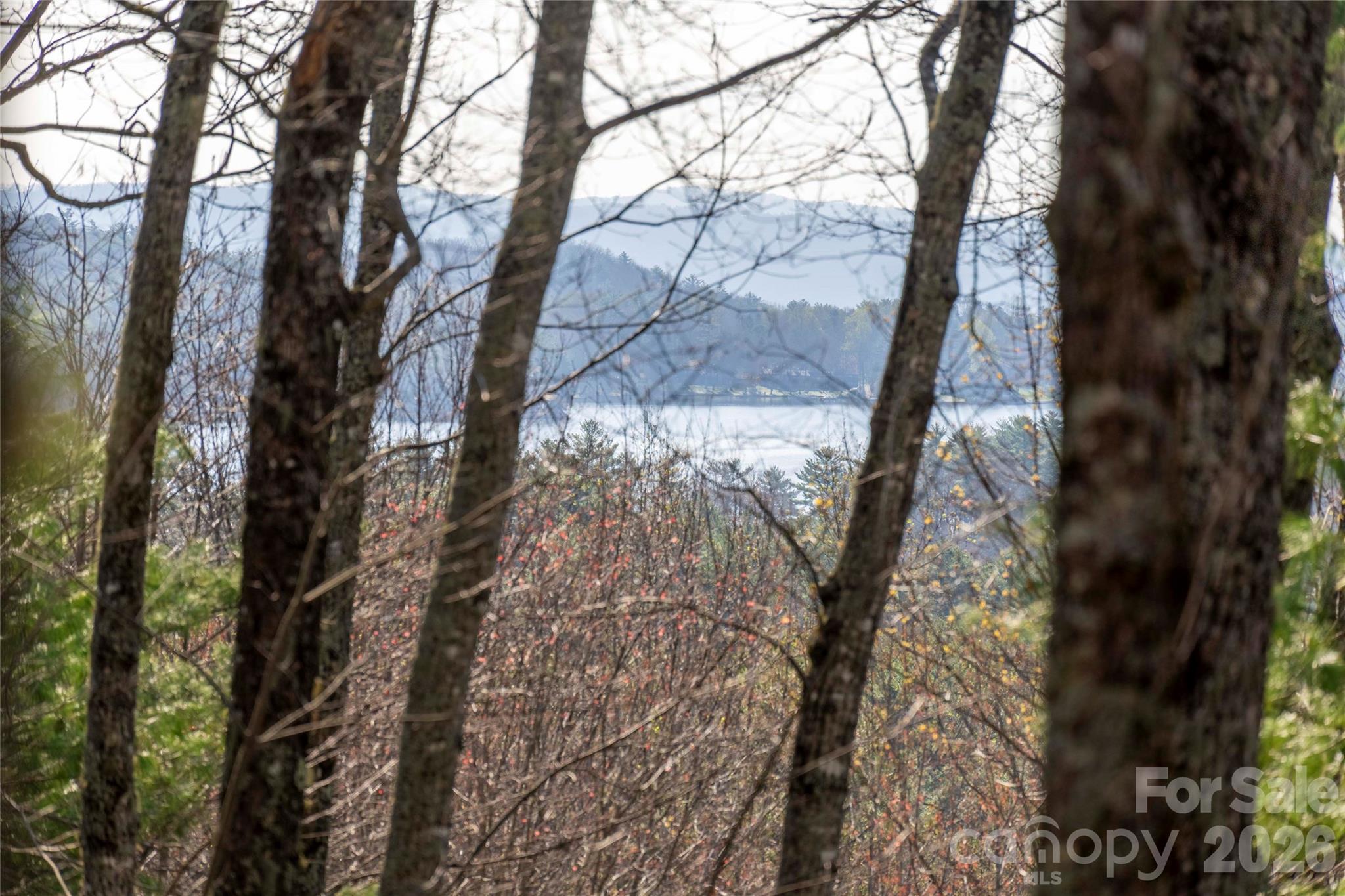 Lot at TRP 1 Cardinal Drive W, Lake Toxaway, photo 4 of 13